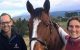 Passion drives business - Otago Daily Times